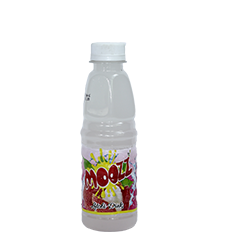 LITCHI DRINKS (PET BOTTLE)